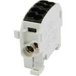 HoraeTec 080110-4-3 odvojna stezaljka za glavni vod  PA, mjed svijetlosiva (RAL 7035), intenzivna crna (RAL 9005) 1-poln