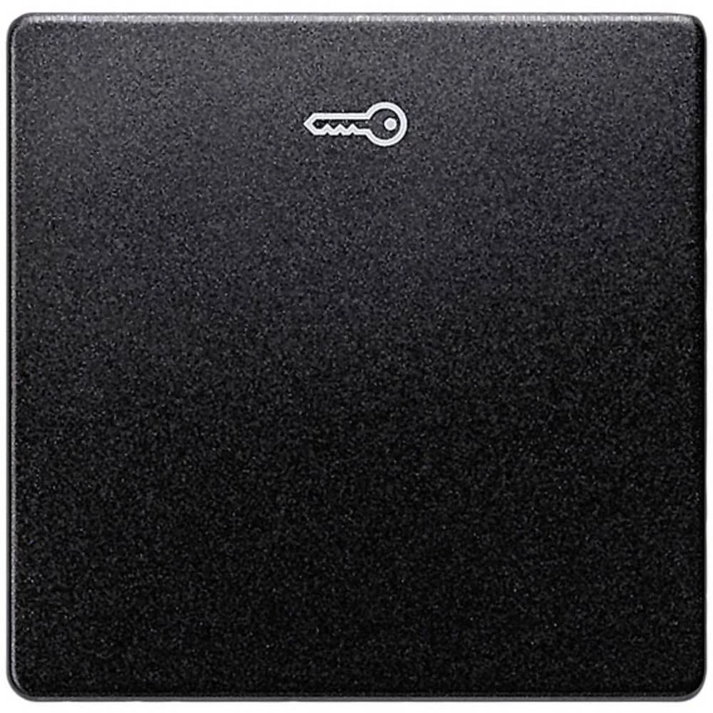 Siemens   klackalica Delta karbon crna boja 5TG6228 slika