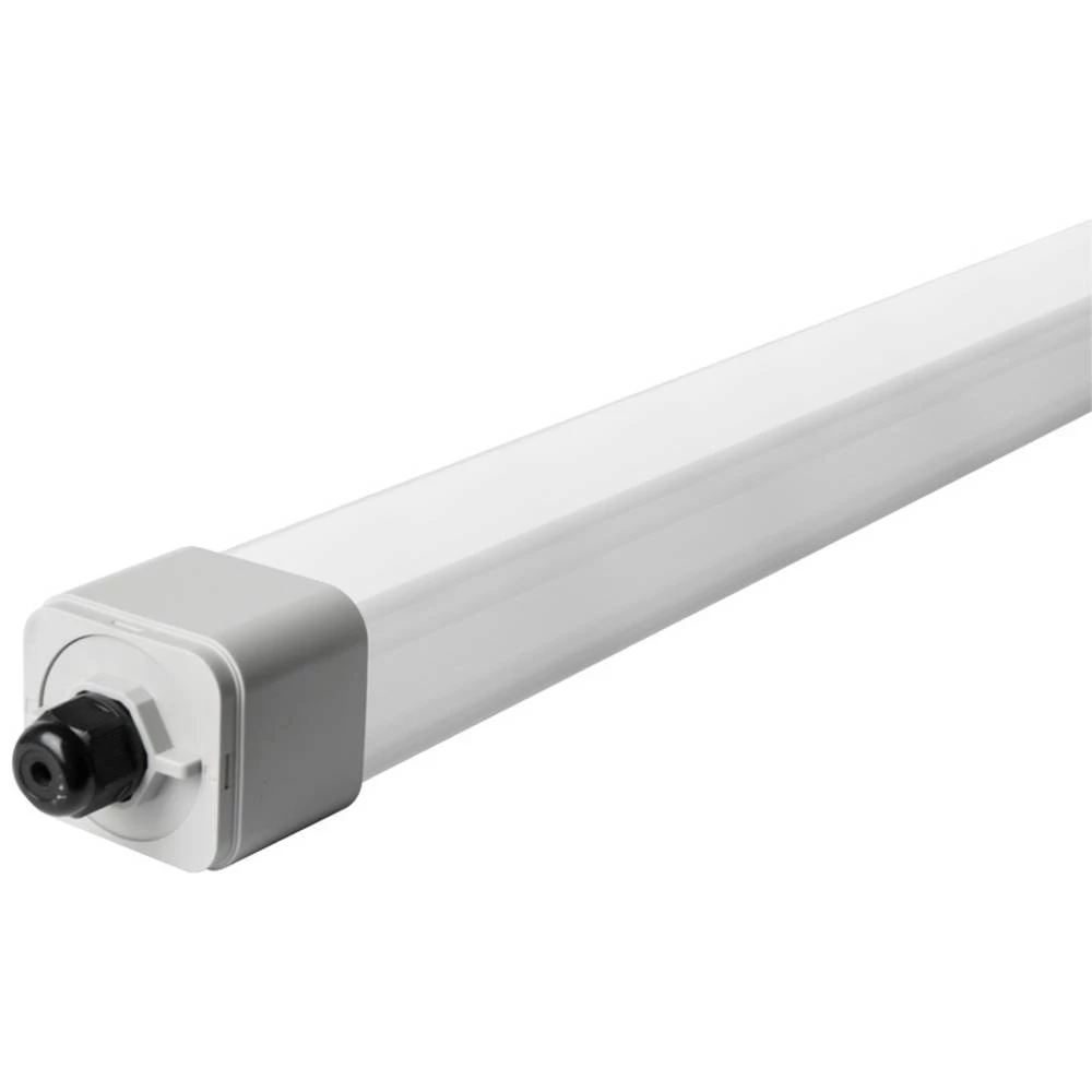 Megaman DINO2 FARM LED svjetiljka za vlažne prostorije LED 36 W neutralna bijela srebrna (mat) slika