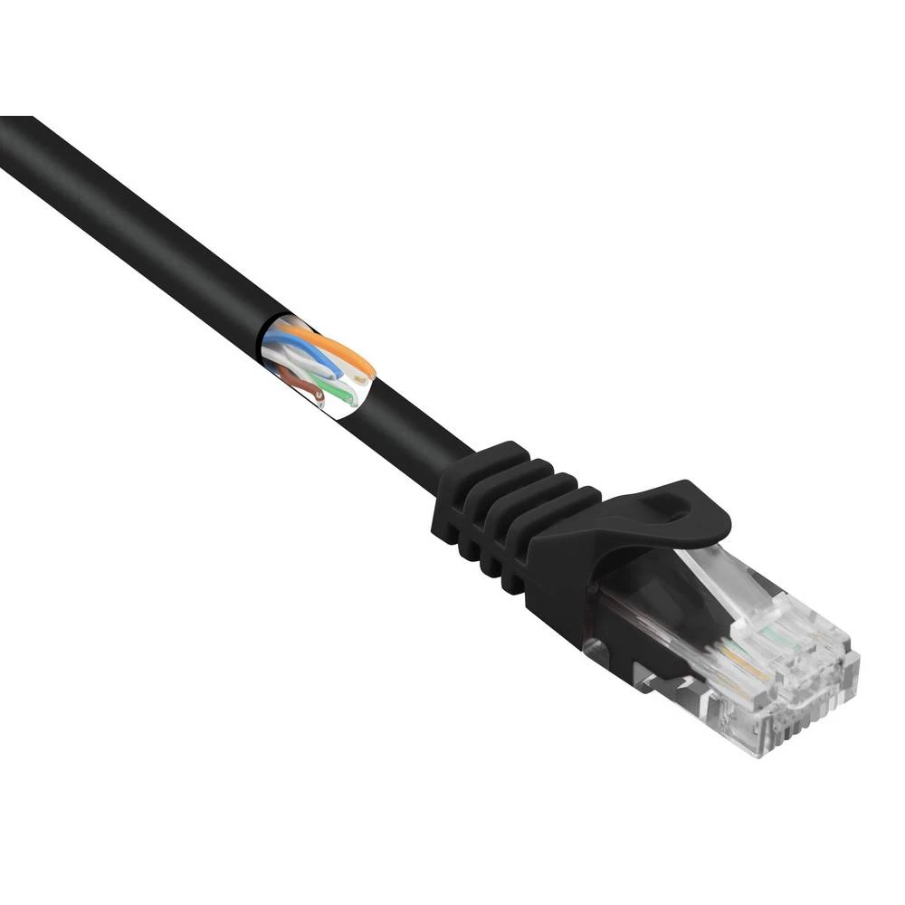Basetech    BT-2270734    RJ45    mrežni kabeli, patch kabeli    cat 5e    U/UTP    25.00 cm    crna    sa zaštitom za nosić    1 St. slika