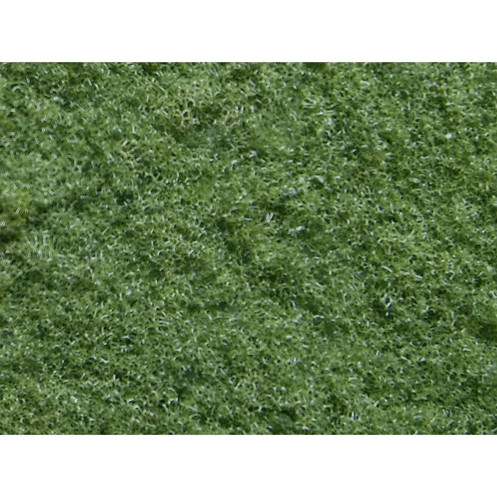 Pahuljice NOCH 07351 Svijetlozelena slika