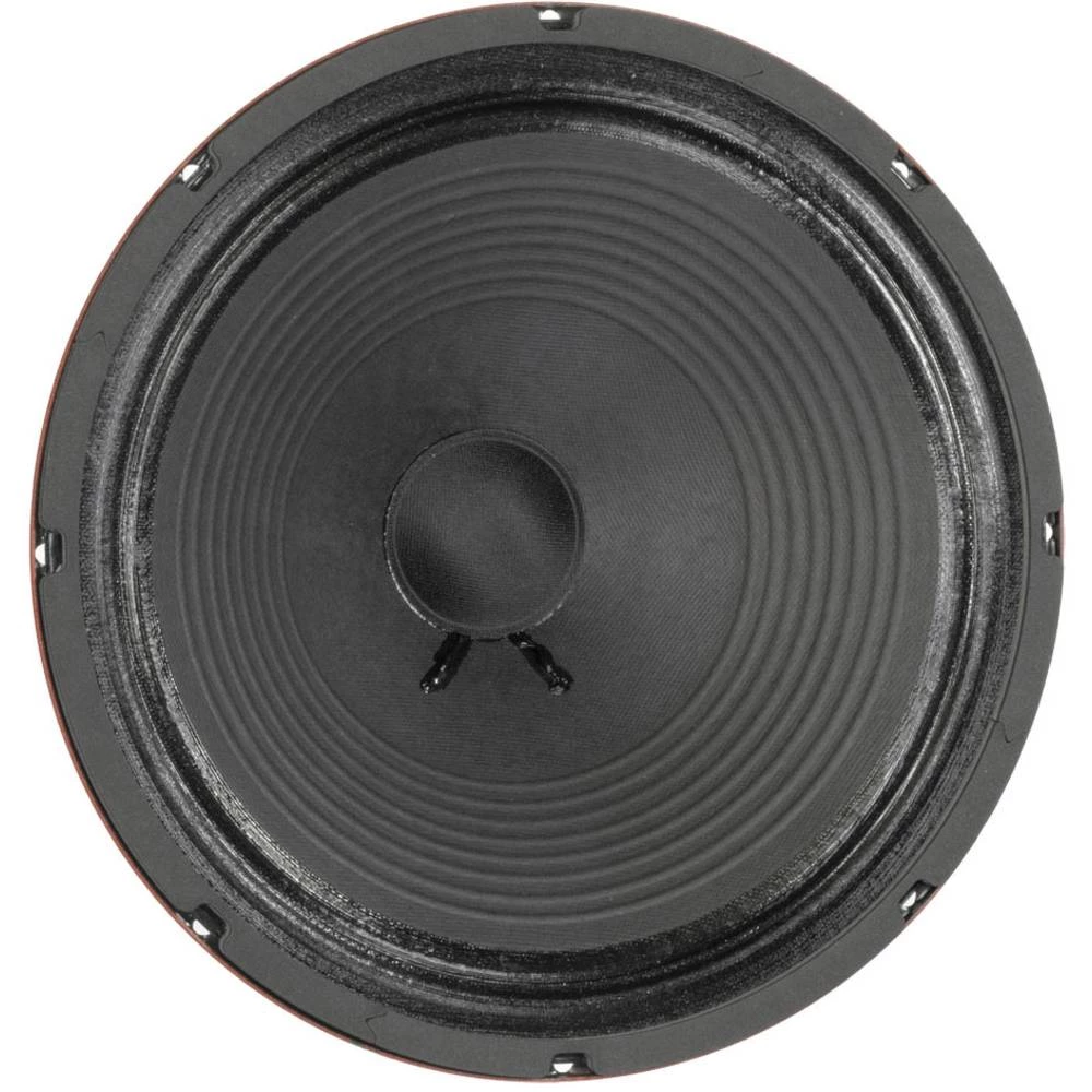 12 " 30.48 cm Šasija zvučnika Eminence ERPRIVATEB 50 W 16 Ohm slika