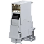 E-DAT Industry terminal trail TS35 + RJ45 umetak za utičnicu Cat.6 Class EA, T568B Metz Connect 1401806113KE mrežna utičnica profilna šina cat 6 svijetlosiva