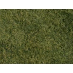 Lišće Divlja trava NOCH 07280 Svijetlozelena