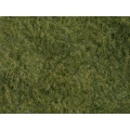 Lišće Divlja trava NOCH 07280 Svijetlozelena slika