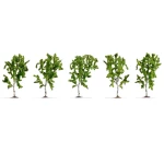NOCH 25630 paket stabla breza 100 mm (max) 5 St.