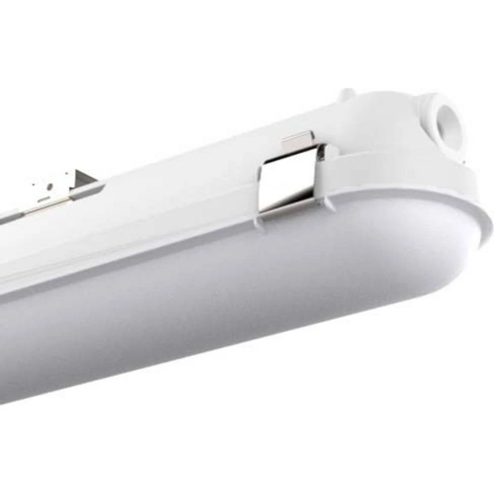 Pracht štiti od vlage LED G13 35 W bijela bijela slika