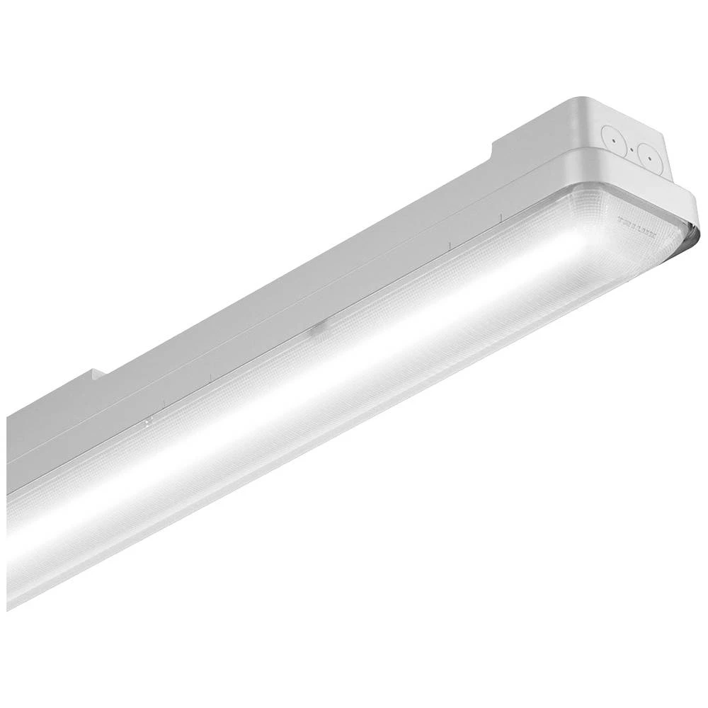 Trilux AragF 12 P #7423751 LED svjetiljka za vlažne prostorije  LED  40 W bijela siva slika
