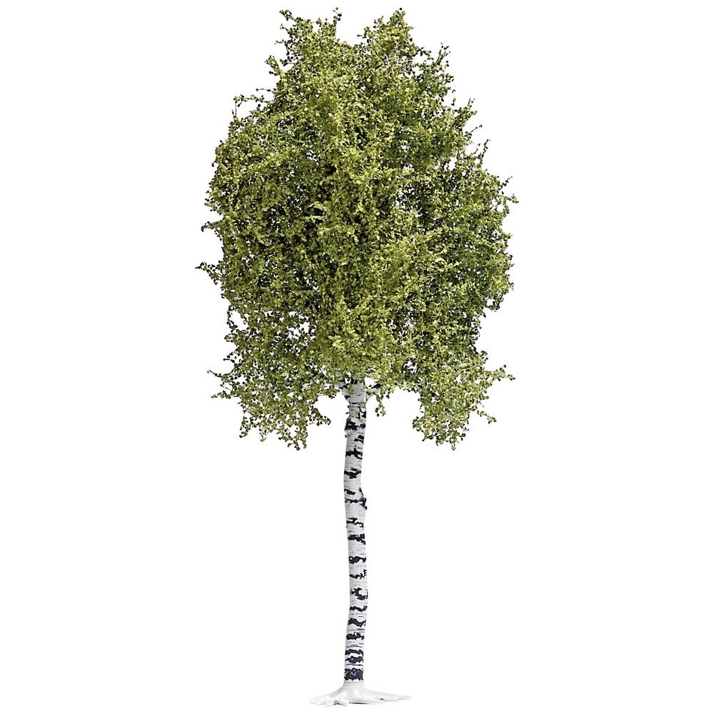 Busch 3781 stablo breza 170 mm 1 St. slika