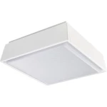 RIDI 0627723AH 0627723AH stropna svjetiljka LED bijela