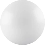 LEDVANCE Vanjska zidna svjetiljka 4058075062221 Bijela LED fiksno ugrađena