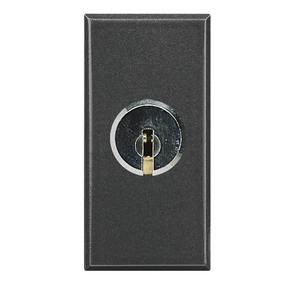 Legrand   izmjenični prekidač  Axolute antracitna boja HS4022 slika