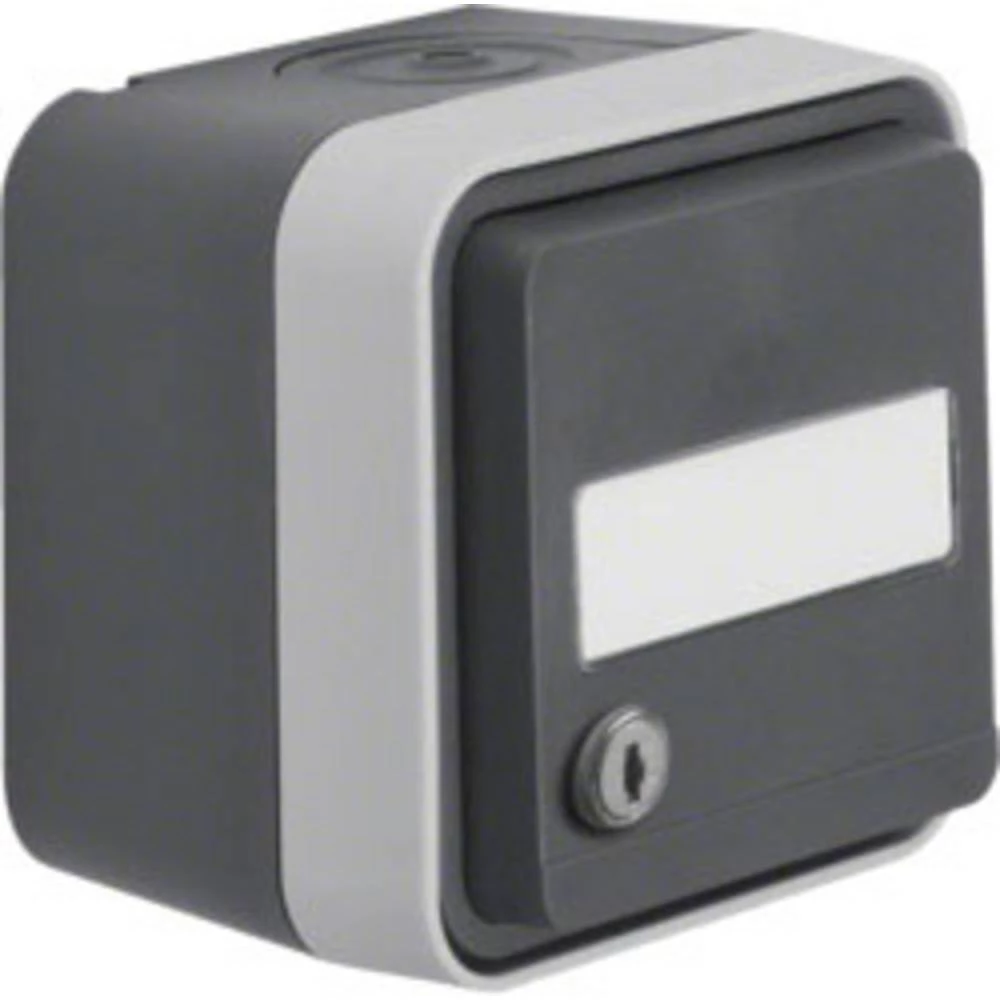 Berker Šuko utičnica može se zaključati Nadžbukni W.1 Siva, Svijetlosiva 47893505 slika