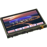 Electronic Assembly LCD zaslon (Š x V x D) 106.8 x 71 x 11.9 mm