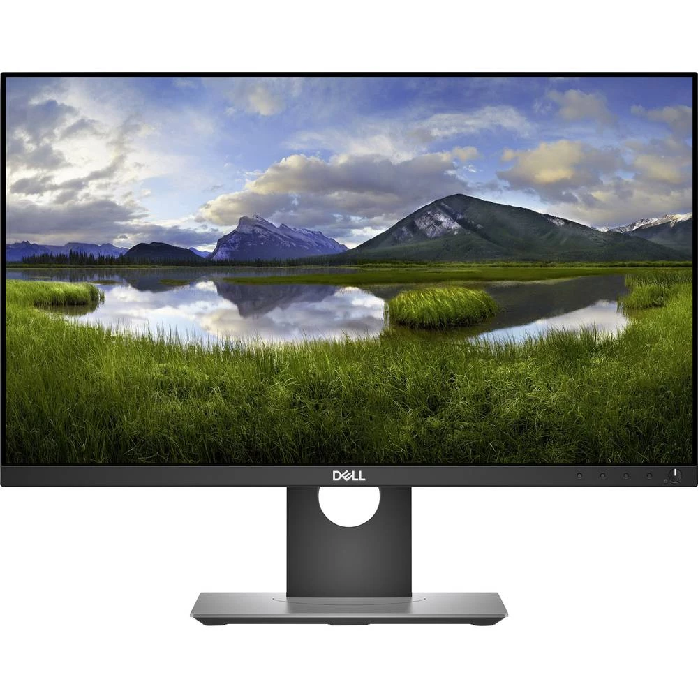 LED zaslon 60.5 cm (23.8 ) Dell P2418D ATT.CALC.EEK A (A+ - F) 2560 x 1440 piksel WQHD 5 ms DisplayPort, HDMI™, USB 3.0 I slika
