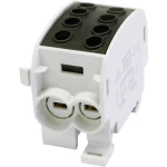 HoraeTec 080310-4-3 odvojna stezaljka za glavni vod  mjed, PA svijetlosiva (RAL 7035), intenzivna crna (RAL 9005) 1-polni  160 A  690 V Vrsta provodnika = L