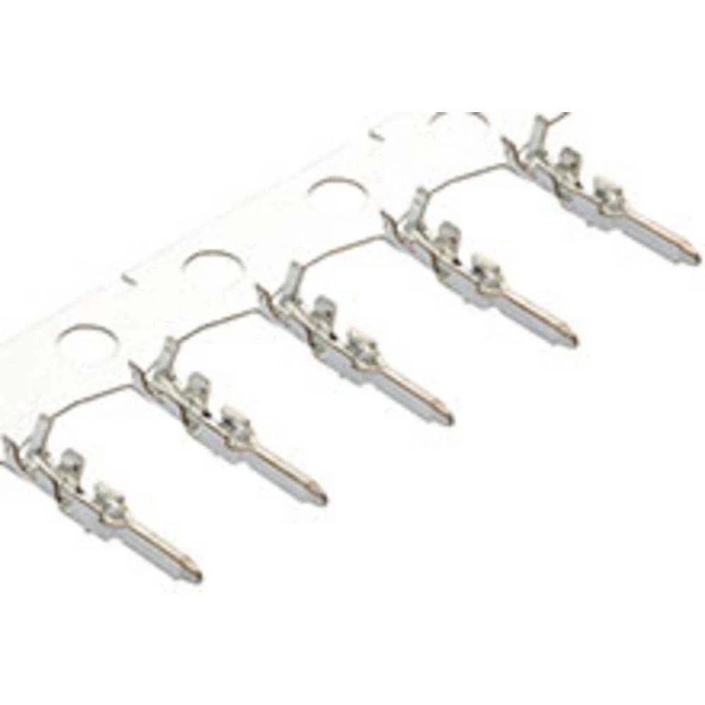 Molex WtW Plug Term 501258100 MOL slika