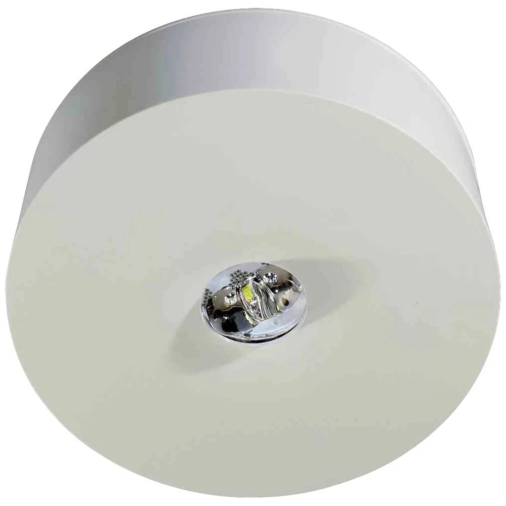 RP Technik ILDF029ML sigurnosno svjetlo stropna montaža slika