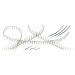 Muški kontakt Harting 09670008138 1 ST