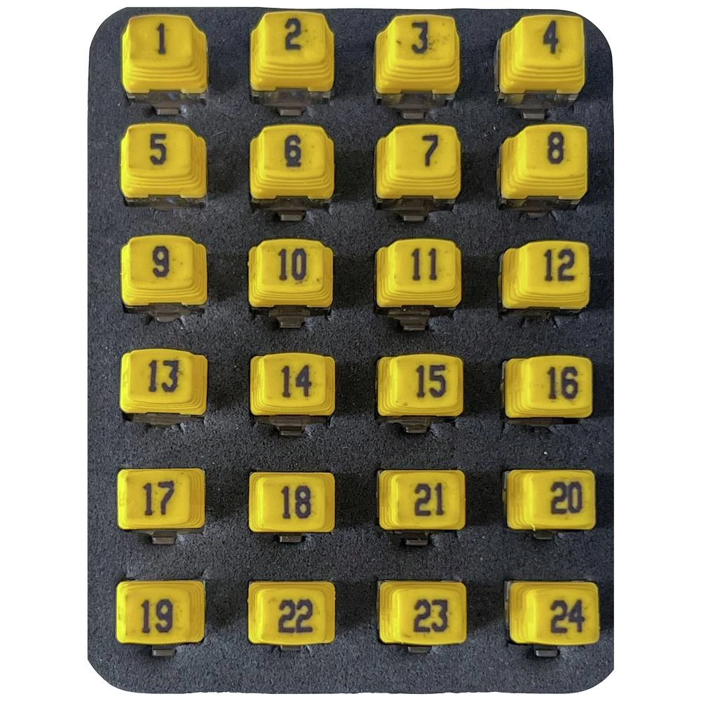 daljinski identifikator 226581 Softing PD_RK224 mreža slika