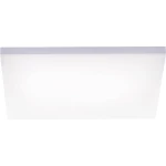 Paul Neuhaus Frameless 8491-16 LED panel 24 W toplo-bijela, neutralno-bijela, dnevno svjetlo-bijela bijela