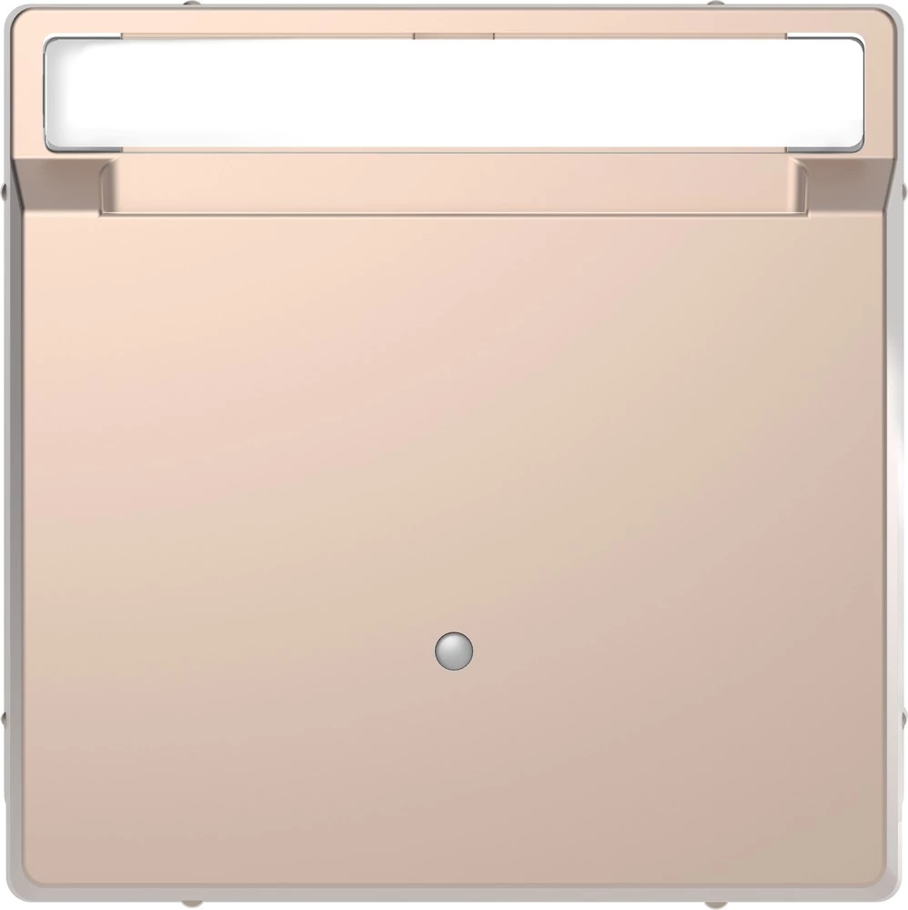 Merten Poklopac Šampanjac boja MEG3854-6051 slika