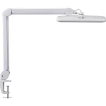 LED svjetiljka sa stezaljkom 11 W hladno-bijela Maul MAULintro 8205802 bijela