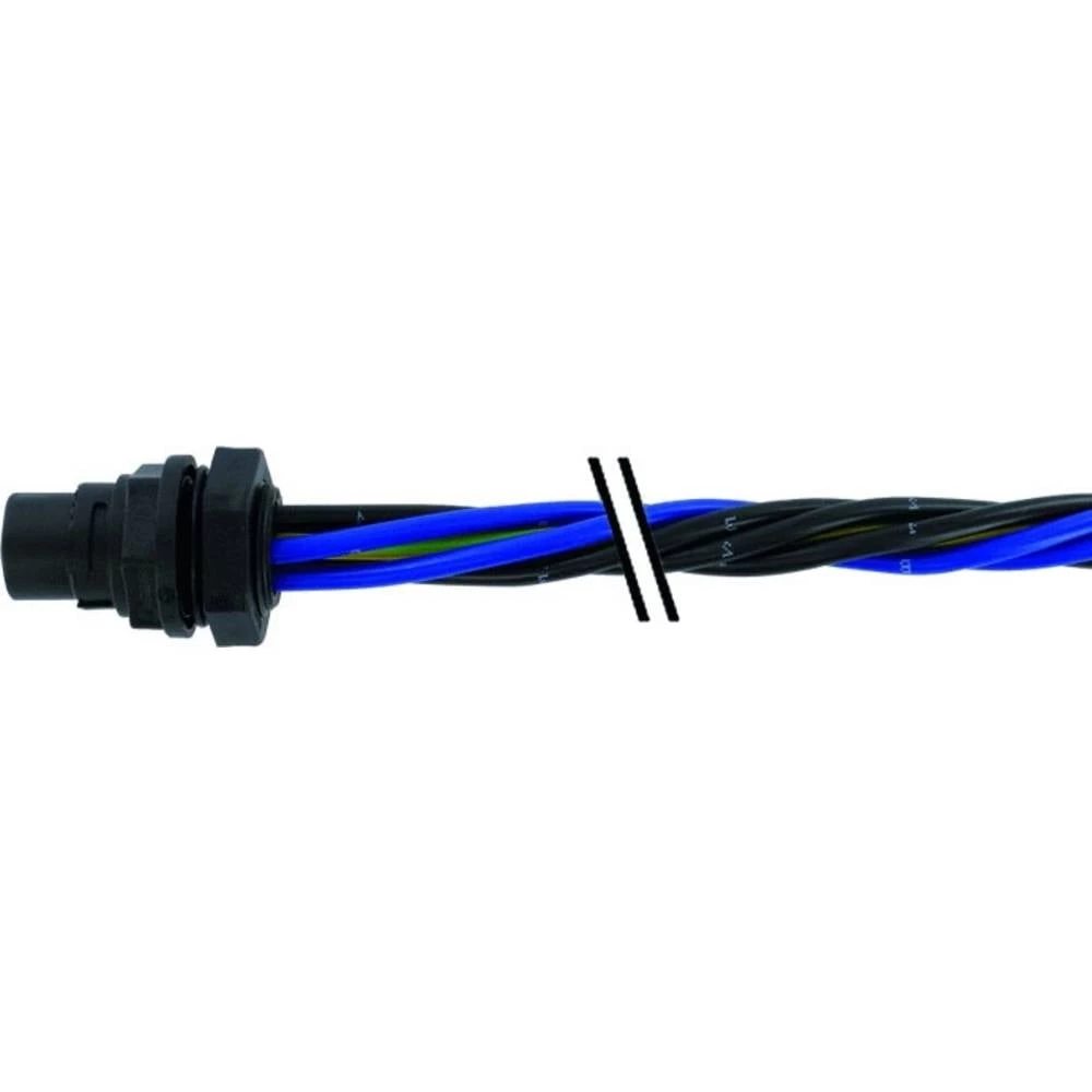 Murrelektronik 7000-P8081-P820025 utični konektor za senzor/aktivator, konfekcionirani ravni muški konektor 0.25 m Broj slika