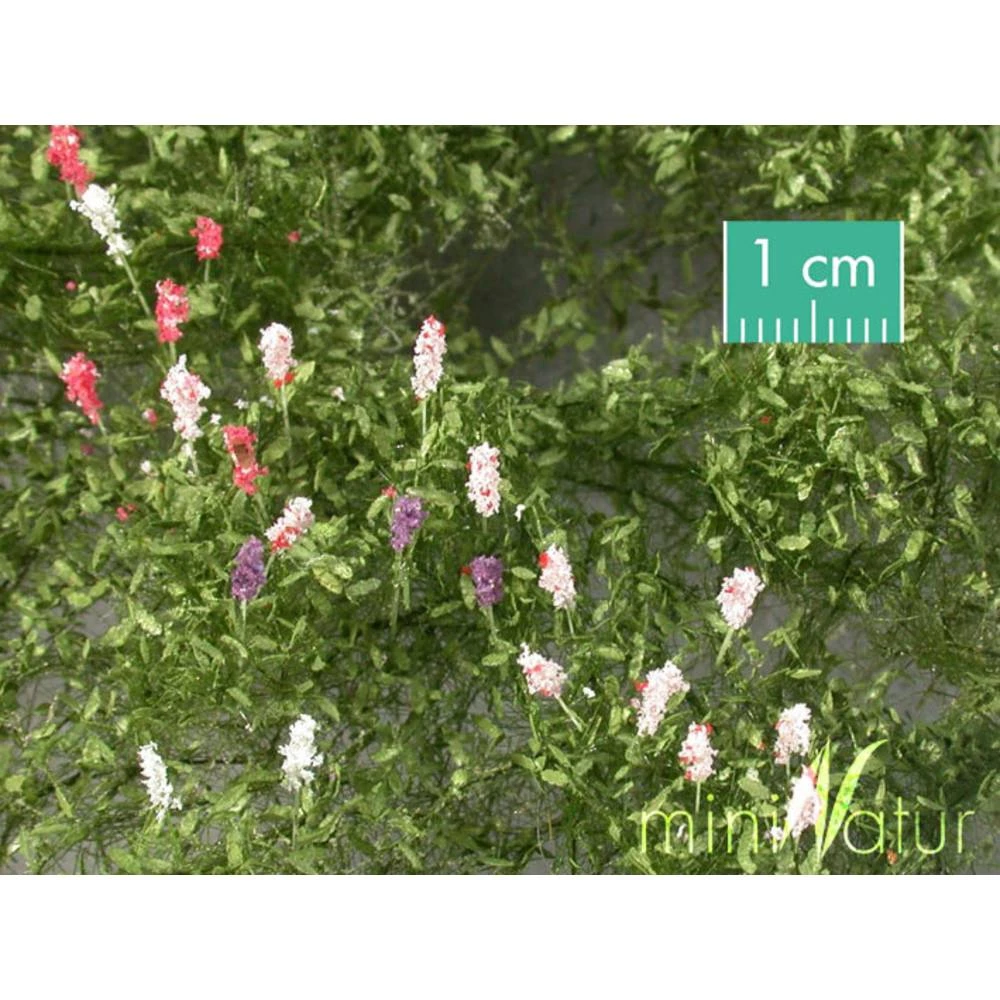 Cvijeće Vučika, Ljeto Mininatur 999-22 S slika