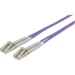 Staklena vlakna Svjetlovodi Priključni kabel [1x Muški konektor LC - 1x Muški konektor LC] 50/125 µ Multimode OM4 3 m Inte