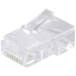 Shiverpeaks  Shiverpeaks BASIC-S mrežni modularni utikač RJ45 8-pinski, 8 dodijeljenih kontakata, pozlaćeni kontakti, pakiranje od 10 BS72051-10 ravni muški konektor   Broj polova 8p8c prozir