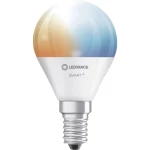 LEDVANCE SMART+ Energetska učinkovitost 2021: F (A - G) SMART+ WiFi Mini Bulb Tunable White 40 5 W/